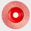 KGS Hybrid® Flap Ø115 mm - Asgat 22,2 mm