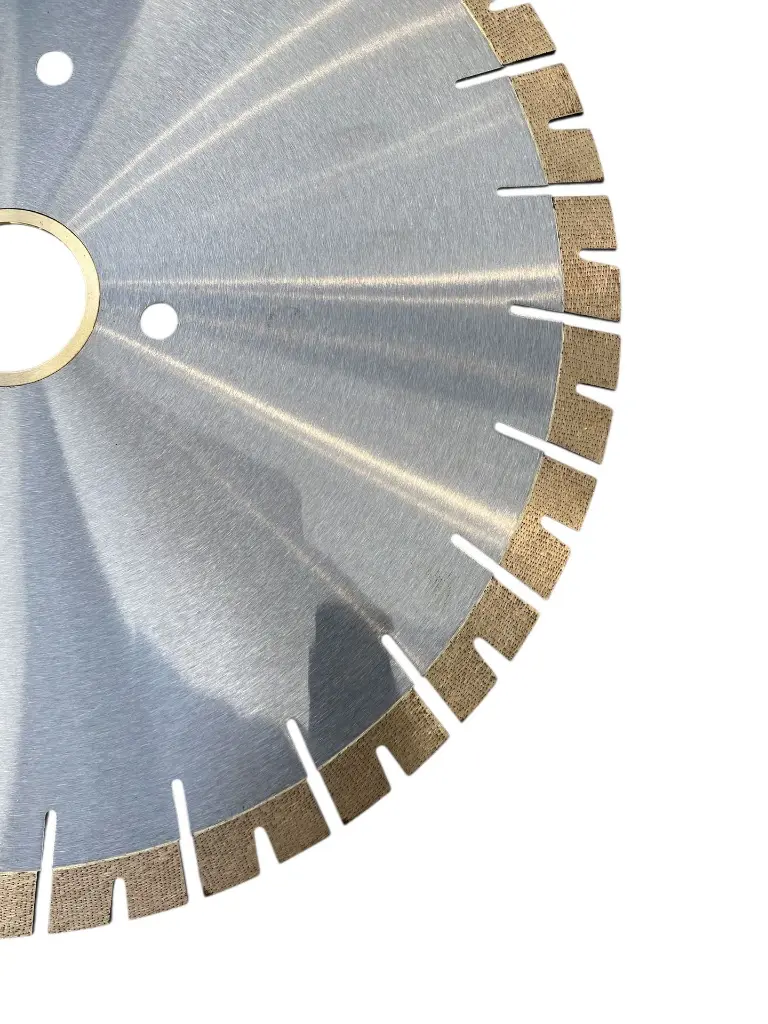 Segment Q-BEAST.webp