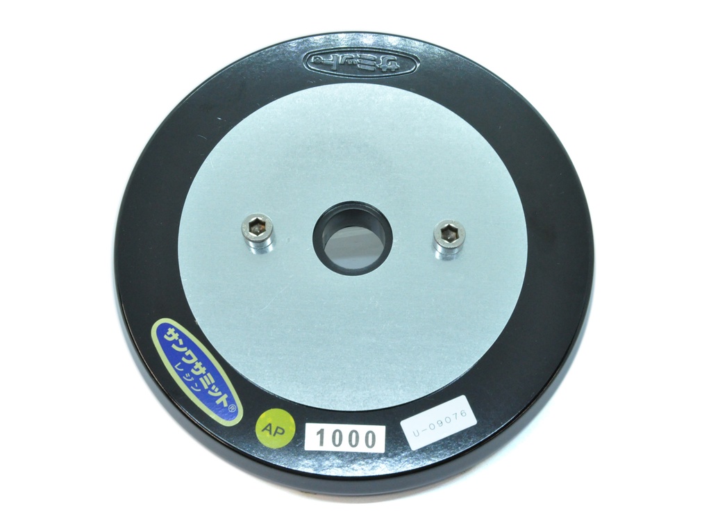 Metaalplaat met 2 Pinnen voor Vlakpolijststeen Summit