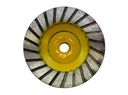 Italdiamant Diamond Grinding Tool Ø100 mm