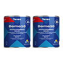 Tenax Domo 10 A + B - 2 x 1 l