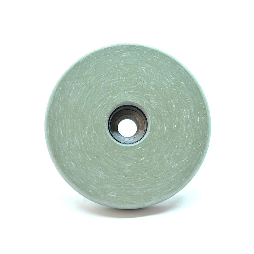 Dry Flash Ring Polishing Wheel D36 Ø100 x 10 mm M14