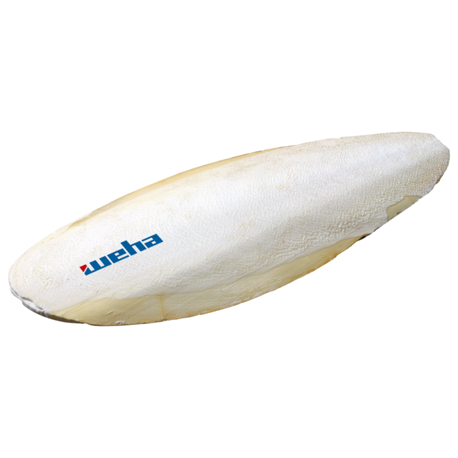 Sepia Shells Bundle 1 kg