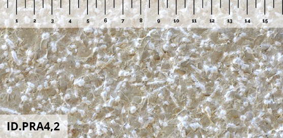 Lupato Bouchardeerplateau Ø260 mm met 4 Rollen voor Flora